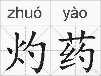 灼药的拼音