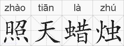 照天蜡烛的拼音