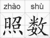 照数的拼音