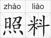 照料的拼音