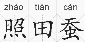 照田蚕的拼音