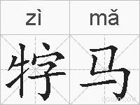 牸马的拼音