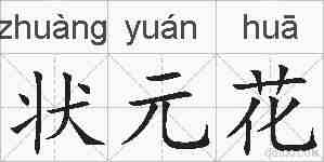 状元花的拼音