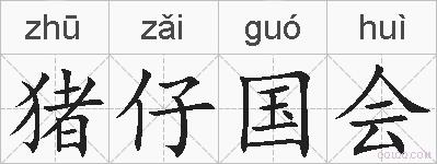 猪仔国会的拼音