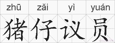 猪仔议员的拼音