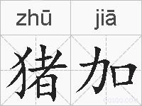 猪加的拼音