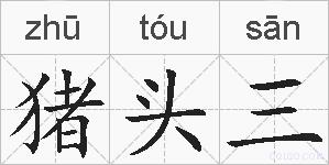 猪头三的拼音