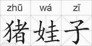 猪娃子的拼音