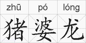 猪婆龙的拼音
