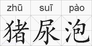 猪尿泡的拼音