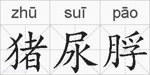 猪尿脬的拼音