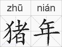 猪年的拼音