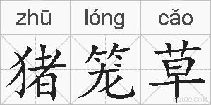 猪笼草的拼音