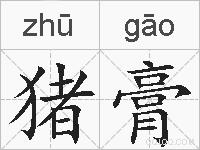 猪膏的拼音