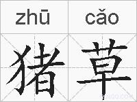 猪草的拼音