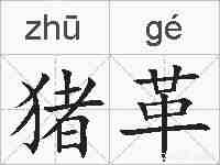 猪革的拼音
