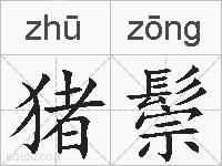 猪鬃的拼音