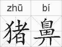 猪鼻的拼音