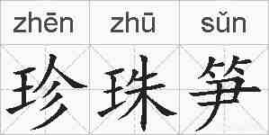 珍珠笋的拼音