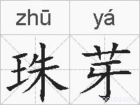 珠芽的拼音