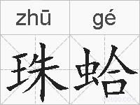 珠蛤的拼音