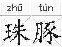珠豚的拼音