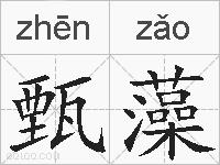 甄藻的拼音