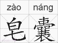 皂囊的拼音