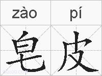 皂皮的拼音