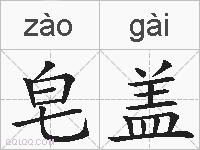 皂盖的拼音
