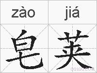 皂荚的拼音