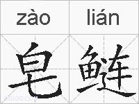 皂鲢的拼音