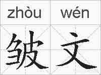 皱文的拼音