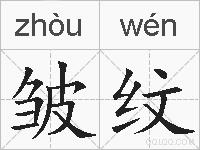 皱纹的拼音