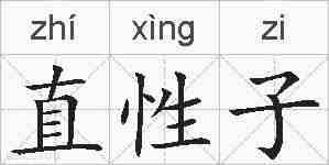 直性子的拼音