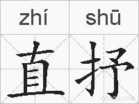 直抒的拼音