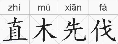 直木先伐的拼音