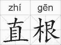 直根的拼音