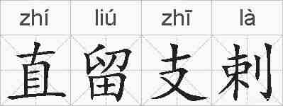 直留支剌的拼音