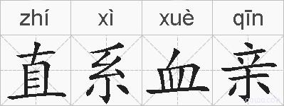 直系血亲的拼音