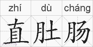 直肚肠的拼音