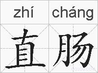 直肠的拼音