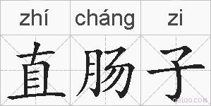直肠子的拼音