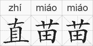 直苗苗的拼音