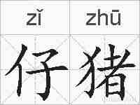 仔猪的拼音