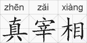 真宰相的拼音