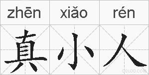 真小人的拼音