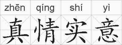 真情实意的拼音