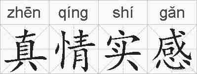 真情实感的拼音