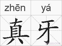 真牙的拼音
